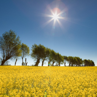Information gällande fiberutbyggnaden på landsbygden